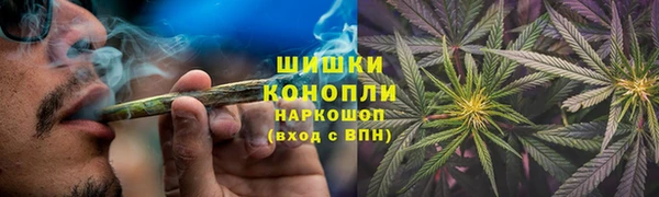 PSILOCYBIN Белокуриха