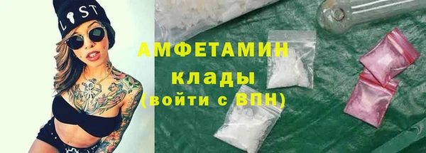 PSILOCYBIN Белокуриха