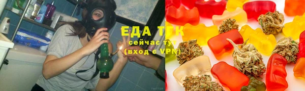 PSILOCYBIN Белокуриха