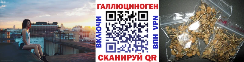 Галлюциногенные грибы Cubensis  Цоци-Юрт 